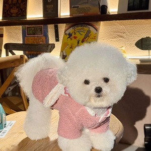 เสื้อผ้าคู่รักสีชมพูน่ารักสำหรับสัตว์เลี้ยงในฤดูใบไม้ร่วงและฤดูหนาวมีหูกระต่ายน่ารัก - Product Image 5