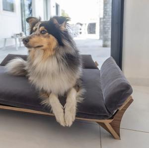 بيع بالجملة سرير حيوانات أليفة حديث ونمط صلب وصلب ، وسادة خشبية للقطط والكلاب للحيوانات الصغيرة أثاث OEM مخصص - Product Image 3