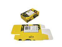 Boîte à savon pliable personnalisée en gros pour l'emballage des produits de soin de la peau