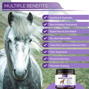 घोड़े की त्वचा देखभाल उपचार क्रीम त्वरित घाव की मरम्मत देखभाल प्रभावी ढंग से राहत - Product Image 3