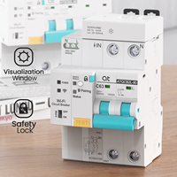 Disjoncteur intelligent Wi-Fi AT TUYA Smart Rcbo 2P avec télécommande sans fil et protection contre les fuites via l'application Smart Life