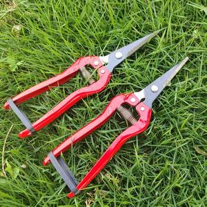 Tijeras de Podar para Jardín de Acero Inoxidable, 20-30 mm, Herramienta Manual para Recortar Árboles Frutales, Mango de Plástico Rojo, Cabeza Recta - Product Image 3