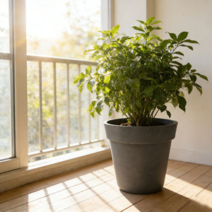 Weicheng Xing OEM <strong>Maceta</strong> Modern Decorative FlowerPot Stackable <strong>Vertical</strong> Outdoor and Indoor Flower Pots Planters - Product Image 2