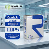 Harga Pabrik REPT 3.2V LFP 314Ah 280Ah 100Ah 10000 siklus Sel Baterai Lifepo4 untuk Penyimpanan Energi