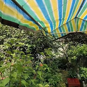 Jaring Peneduh Bergaris Grosir - Berwarna, Tebal, dan Berdensitas Tinggi |   Tahan Panas & Sinar UV untuk Teras & Lapangan Bermain - Product Image 3