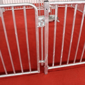 Clôture/stylo de finisseur de graisse d'équipement d'élevage de porc en acier galvanisé de vente chaude pour le porcelet - Product Image 4