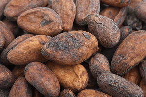 Tostador de Granos de Cacao de 50 kg, Tostador Automático de Granos de Cacao en Venta - Product Image 4