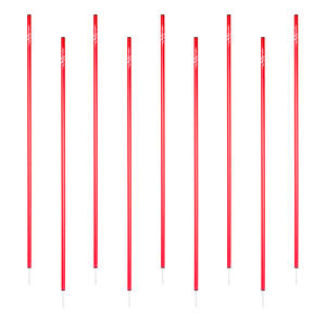 LISKI Professional Soccer <b>Equipment</b> Soccer Training Poles SET of 9 Slalom poles 25mm STANDARD - red - steel tip without plate - Product Image 1