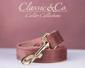 Arizona Vee personalizar perro Collar Correa Se flor arco para pequeño mediano grande Pe, grabado Silen nombre Plae, boda cachorro - Product Image 5