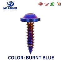 Vis autotaraudeuses Torx en titane TC4 de grade 5, M4*15 M5*15, anodisées multicolores, pour pièces de modification personnalisées de moto
