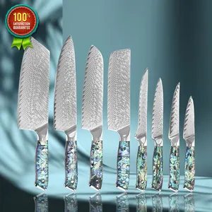 नई डिजाइन लक्जरी 67 परतों दमिश्क इस्पात चाकू सेट 8Pcs तेज रसोई चाकू सेट के साथ रेस्तरां महाराज चाकू सेट राल संभाल