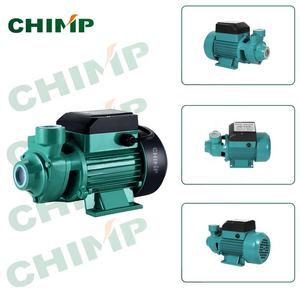 <span class=keywords><strong>Pompe</strong></span> à <span class=keywords><strong>eau</strong></span> électrique monobloc <span class=keywords><strong>de</strong></span> surface Vortex 0,5 CV pour usage domestique QB60 - Product Image 2