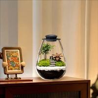 Ensemble de terrarium en verre borosilicate en forme de goutte d'eau avec éclairage pour plantes, récipient micro-paysager transparent pour plantes en mousse - Vente en gros