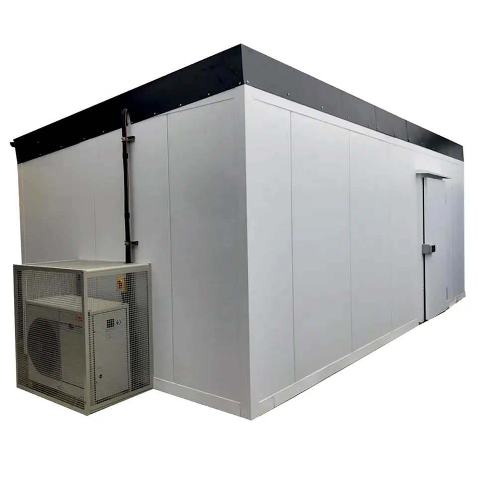 Walk in modular cool chiller cold storage freezer room refrigeration