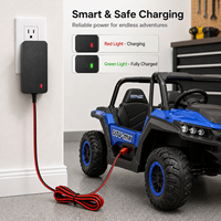 Cargador de Batería de Plomo-Ácido de 6V 1A para Coche de Juguete para Niños, Enchufe Rojo Personalizado para Vehículo Eléctrico, Pieza de Repuesto, Seguridad Estable, Fabricación OEM
