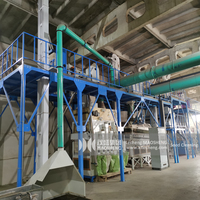 Machine de nettoyage, d'écaillage et de tri des graines de riz, de blé, de haricots, de maïs, de coton, de café, personnalisable par le fabricant, usine de traitement des graines