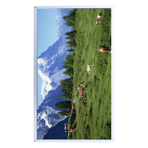 AUO G185XW01 V.1 ดั้งเดิม 18.5 นิ้ว WXGA 1366×768 TN 300nits LVDS 30Pin ป้องกันแสงสะท้อนอุตสาหกรรม TFT LCD โมดูล - Product Image 5