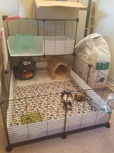 XXL Guinea Pig & Hedgehog C&C Cage 6x2 Foldable Classic Luxury Large Animal Cage - Product Image 4