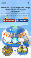WONEGG Nouvelle Tendance LED AC DC 18 Incubateur d'œufs pour perroquets, ara, oies et canards