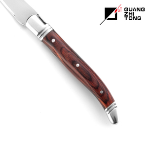 Offre Spéciale Lames En Acier Inoxydable Écologique Pakkawood Coulée Forgé Manche <span class=keywords><strong>Laguiole</strong></span> Couteaux <span class=keywords><strong>et</strong></span> Fourchettes Ensemble pour la Cuisine - Product Image 6