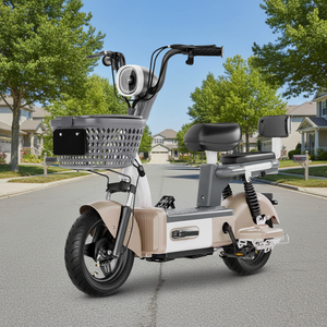 Bicicleta Eléctrica Personalizada de Acero al Carbono de 500W con Alcance de 60km para Ciudad, en Oferta - Product Image 3