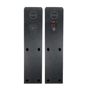 Altavoz de Karaoke inalámbrico portátil de 3*10 pulgadas, LED RGB dinámico para actuaciones de DJ al aire libre, reproducción de <span class=keywords><strong>MP3</strong></span>, teléfonos móviles, ordenadores - Product Image 6