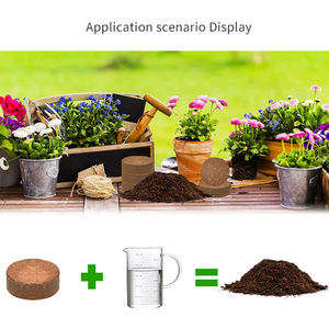 4CM di cocco organico con disco di torba semi <span class=keywords><strong>per</strong></span> bambini bloccano il terreno dei fornitori <span class=keywords><strong>per</strong></span> la semina di torba biologica certificata - Product Image 2