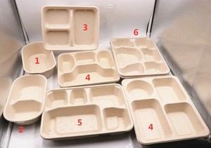 6 Compartment <strong>Disposable</strong> <strong>Plates</strong> Sugarcane Bagasse <strong>Plate</strong> Tray with Lid - Product Image 6