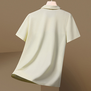 2025 été nouveau polo hommes à manches courtes T-shirt été glace soie séchage rapide mince revers demi manches décontracté mode chaude - Product Image 2