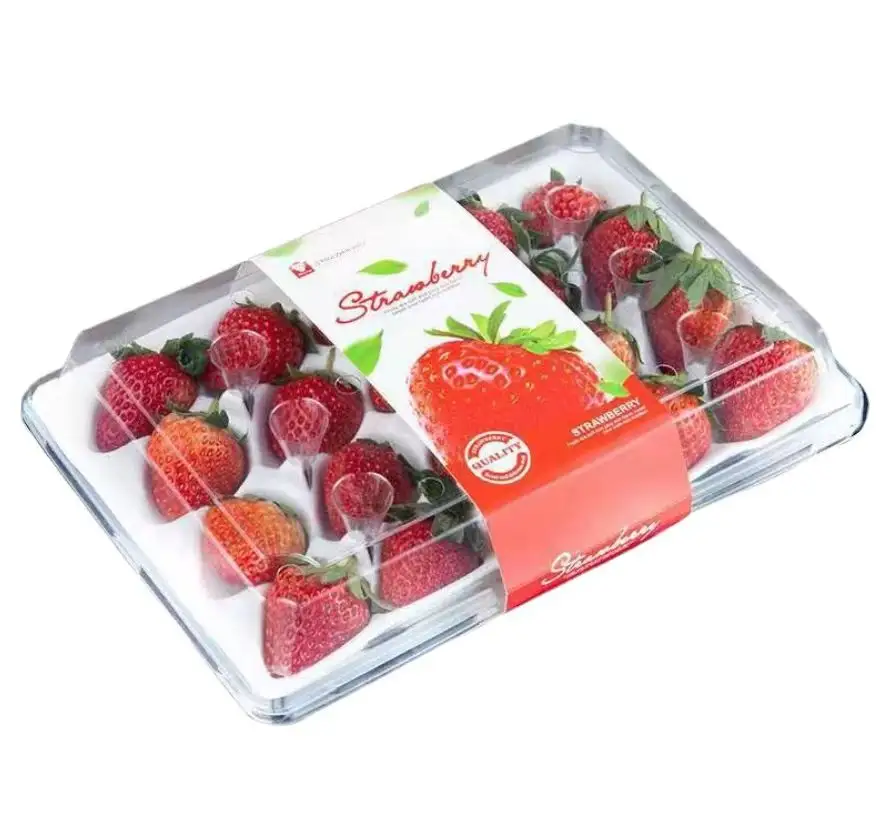 거품 안대기 및 상표를 가진 명확한 장방형 모양 딸기 포장 상자
