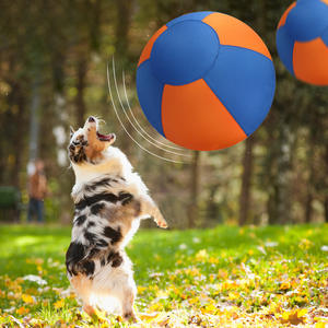 Fabrika doğrudan çevre dostu büyük ırkları interaktif Fetch topu köpek oyuncak yıkılmaz çiğnemek geçirmez TPR Herding zihinsel stimülasyon - Product Image 5