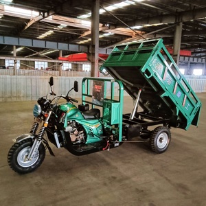 2026 Dreirad-Lastenmotorrad Benzin 150cc 200cc Passagier Offene/Geschlossene Karosserietypen CCC Motorisierte Dreiräder - Product Image 4