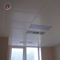Paneles de Techo de PVC Blancos Impermeables para Decoración de Interiores, Paneles de Techo de PVC Ignífugos Personalizados de 8 mm para Salas de Reuniones
