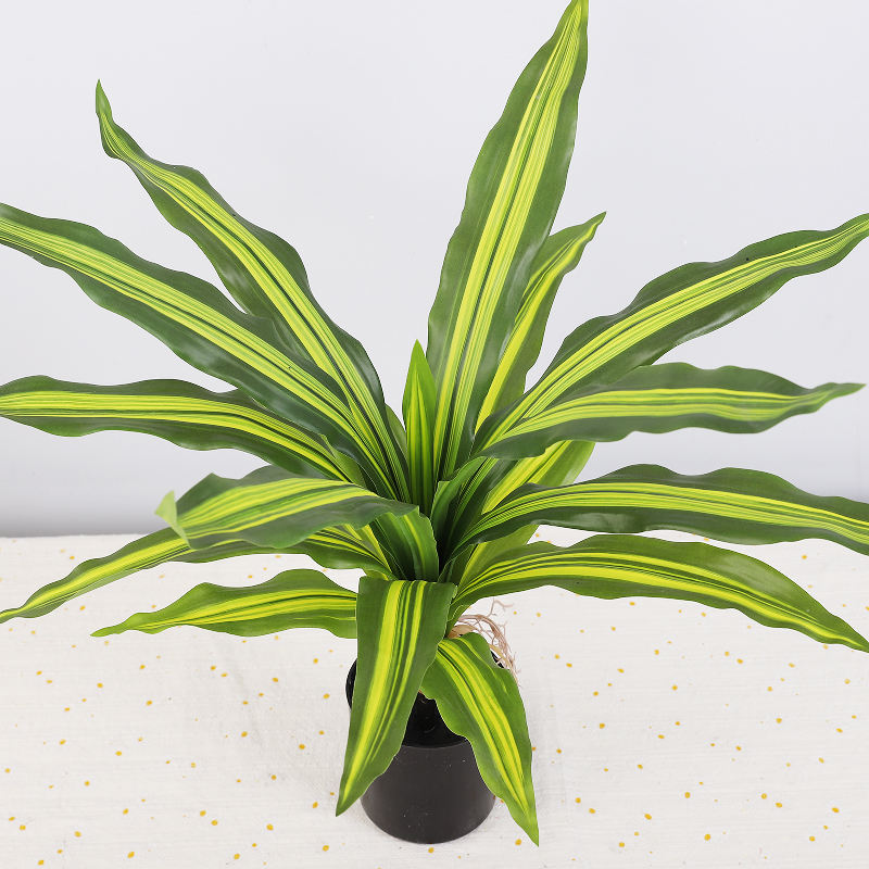 สีเหลืองเขียว