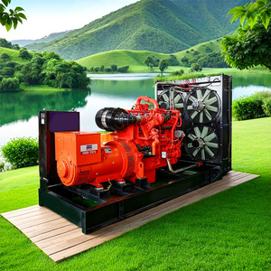 800kW CHP <b>Generator</b> Set Low Fuel Consumption Industrial Use - Product Image 3