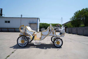 Vente en gros usine : Calèche électrique de tourisme avec auvent, chariot de visite pour centres de villégiature, calèche royale pour défilés de mariage et expositions - Product Image 5
