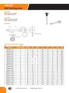 Offre Spéciale t poignée bouton poignée en acier inoxydable libération rapide de verrouillage à bille pour une utilisation de fixation, localiser et l'alignement - Product Image 5