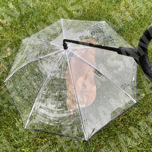 Paraguas Transparente para Perros, 45cm, Forma de C, Impermeable, Protección contra la Lluvia, Uso en Exteriores - Product Image 1