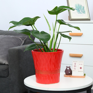 <span class=keywords><strong>Pot</strong></span> <span class=keywords><strong>de</strong></span> <span class=keywords><strong>fleur</strong></span> en céramique maison salon grande lumière blanche luxe senior rouge palm tortue dos bambou spécial argent arbre - Product Image 3