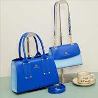 Ensemble de sacs à main de luxe de créateur 2 pièces, sac fourre-tout bicolore, sac à bandoulière en cuir PU pour femme, sac à main élégant de haute qualité pour femme