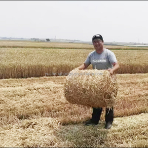 Làm thế nào để một vòng hay Baler làm việc - Product Image 3