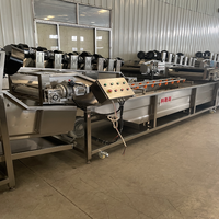 Kls Snelbevroren Avocado Blok Machine Voor De Productie En Verwerking Van Avocadojam Productielijn-Fruit & Groente Machines