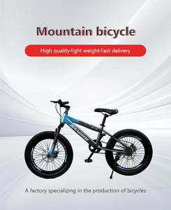 Bicicletta per Bambini Haihong Più Popolare per Studenti, Bici da Montagna a Velocità Variabile di Alta Qualità per Ragazzi - Product Image 2