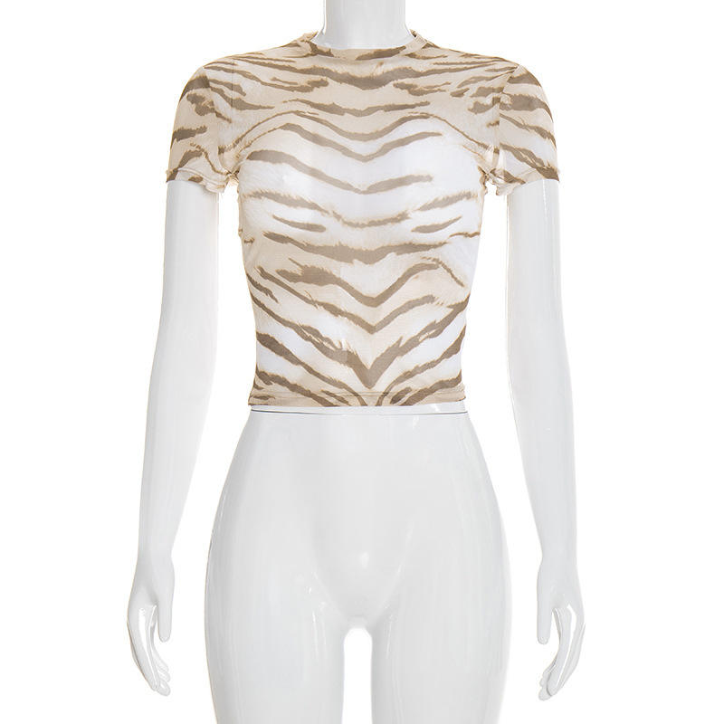 C26TP026 แอปริคอท