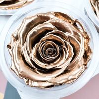 ZanTe Großhandel Sonderfarben unsterbliche Fleur Klasse Eine ewige echte Rosen Blumen kasten Bestellung getaucht Golden Silver Preserved Roses