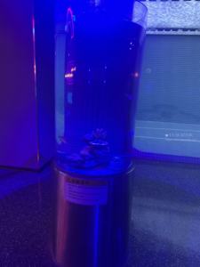 Zeewater Plexiglas <span class=keywords><strong>Aquarium</strong></span> Acryl <span class=keywords><strong>Aquarium</strong></span> Op Maat Grote Acryl Schildpad Tank Acryl <span class=keywords><strong>Aquarium</strong></span> <span class=keywords><strong>Aquarium</strong></span> - Product Image 4