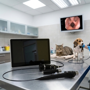 Tragbares Wiederverwendbares Veterinär-Naso-Pharyngo-Flexibles Bronchoskop-Set für Hunde mit Video-Endoskop - Product Image 1