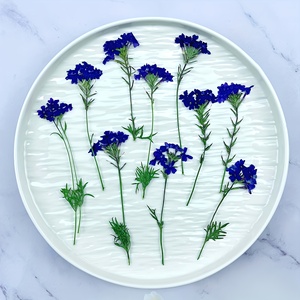 Tiges de <span class=keywords><strong>verveine</strong></span> séchées longue durée avec fleurs pressées pour moules à résine, décoration intérieure et cadeaux de fête des Mères - Product Image 6
