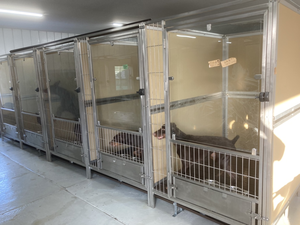 โรงเรือนสุนัขหรูหรา AEOLUS พร้อมสนามวิ่งสำหรับสุนัข โรงเรือนสุนัขเชิงพาณิชย์ บริการรับฝากเลี้ยงสุนัข - Product Image 6