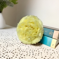 Tête de fleur de pivoine naturelle préservée de haute qualité, pivoine éternelle au toucher réel pour bouquet de mariage, décoration intérieure, cadeau